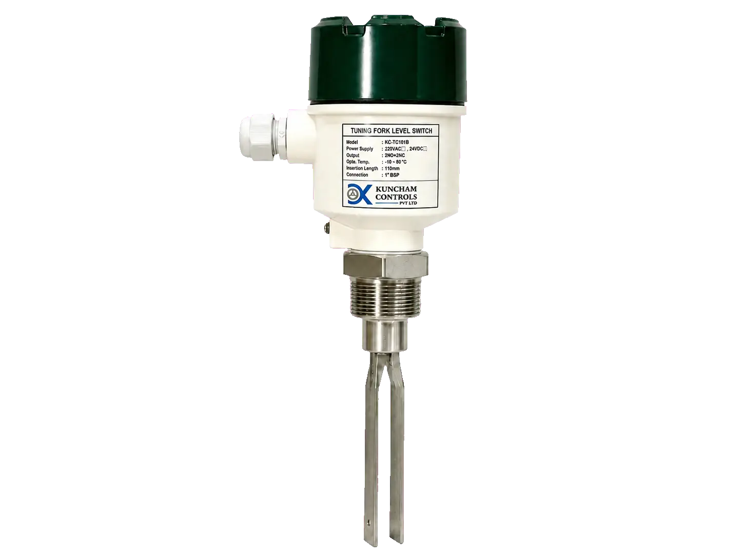 Tuning Fork Level Switches